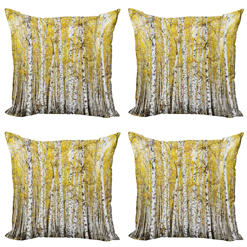 Housse de coussin Ambesonne, 24" X 24"