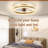 19.7 inch Low Profile Ceiling Fans with Lights and Remote-826018390