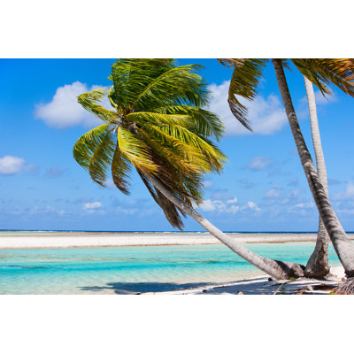 Stunning Tropical Beach by Shalamov - Wrapped Canvas Print