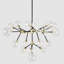 Timothy 20 - Light Chandelier