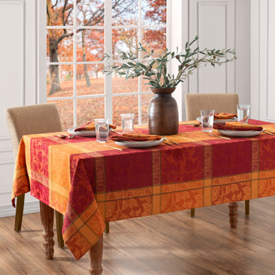 Nappe Erida