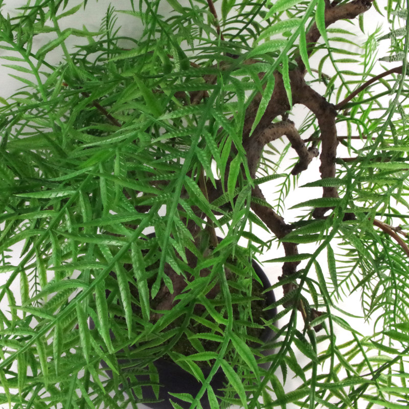 Anlin 50cm Faux Bonsai Tree in Pot