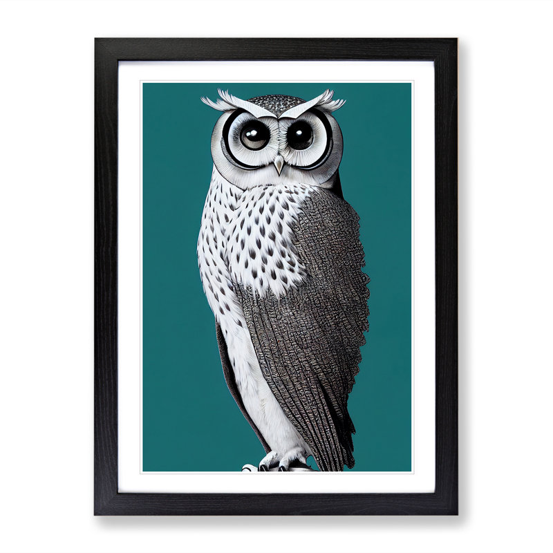 Curious Owl - Single Picture Frame Print, 64cm H x 46cm W x 2cm D, Black