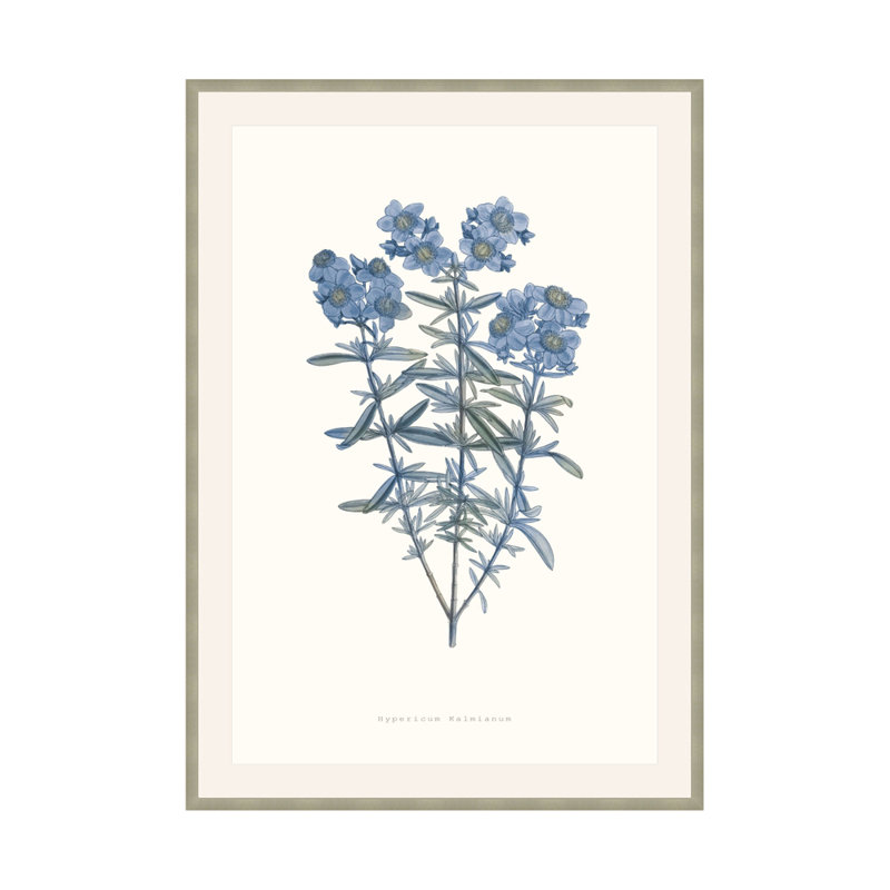 Bouquet Blue 3 Print by Studio L57 Nouvelle, 17.75" H x 13.75" W