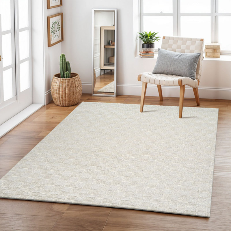 Blannie Chequered Machine Tufted Area Rug, Rectangle 200 x 275 cm