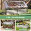 Raised Garden Bed-1746415095
