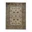 Wool Oriental Area Rug