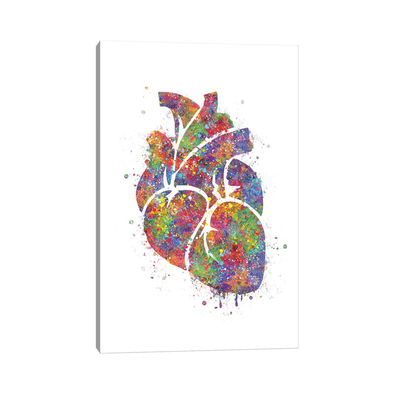 «Heart Anatomy III» - reproduction, H 18 po x l 12 po x 1,5 po, Toile tendue