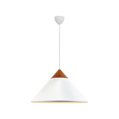 1 - Light Satin Pendant