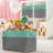 Fabric Cubby Organizer with Handles 1 Pack-974041414