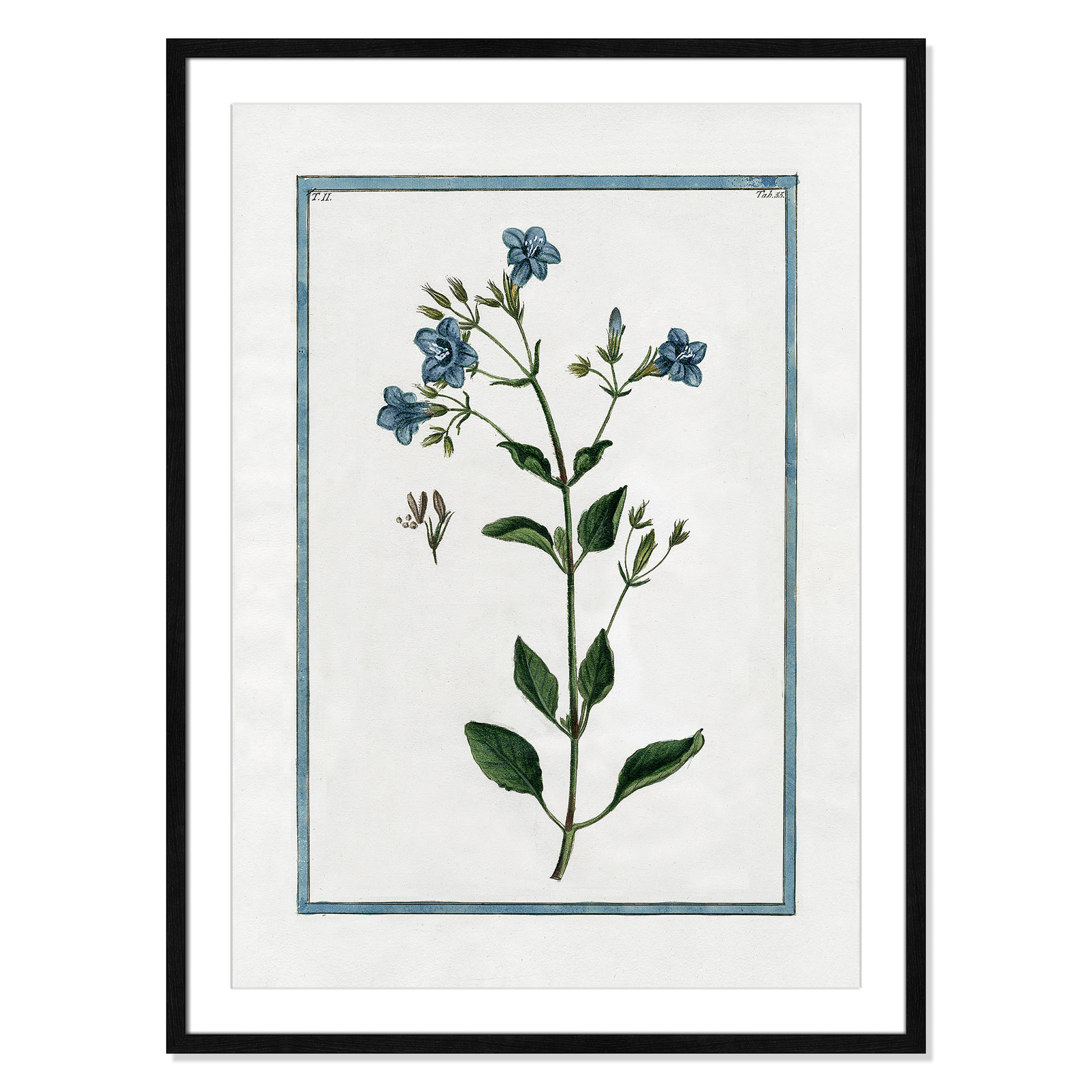 Shabby Elegance Botanical II - Framed Art, 25.5" W x 35.5" H, Black Framed