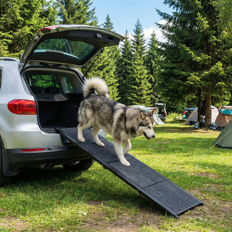 Rampe pliante pour chien 66 pouces pour voitures VUS et camions Capacité de charge de 150 lb pour chiens avec surface antidérapante