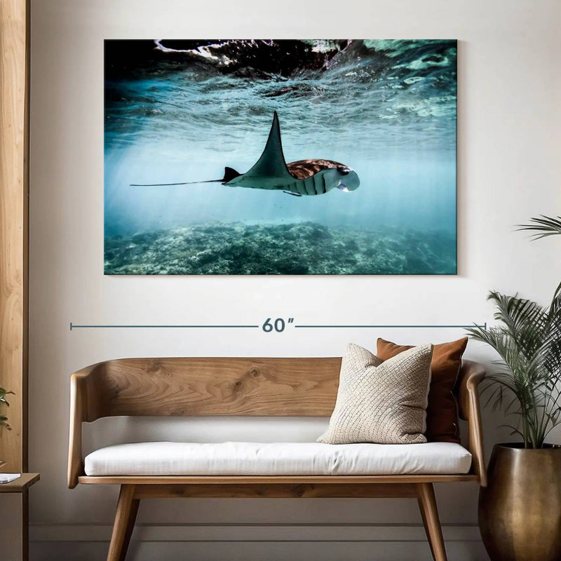 Manta ray over bali coral reef Aletra