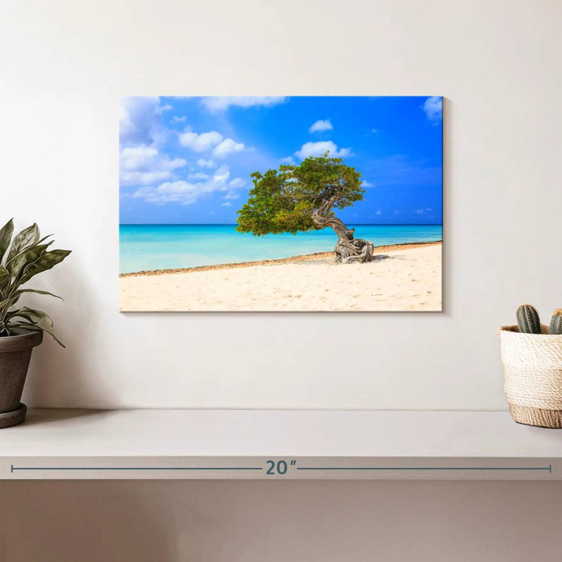 Gillard Lone Tree On Aruba Gillard, H 8 po x l 12 po