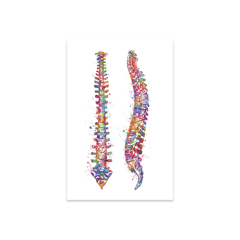 «Spinal Cord II», reproduction sur verre acrylique, H 24 po x l 16 po x P 0,25 po