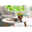 Caylin Ceramic Pot Planter with Saucer