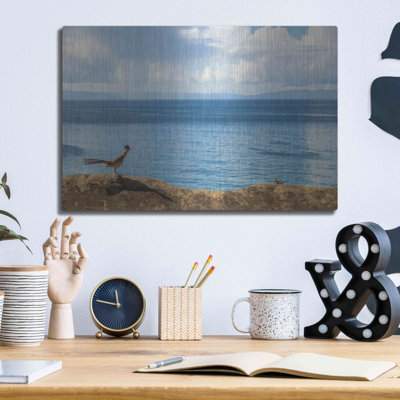Luxe Metal Art 'Road Runner View' By Chris Moyer, " Road Runner View " by Chris Moyer