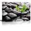 «Zen Stones Rain Drops over Black Rocks and Little Green Plants», reproduction de photo sur toile tendue-56324489