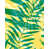 Citron est en rupture de stock