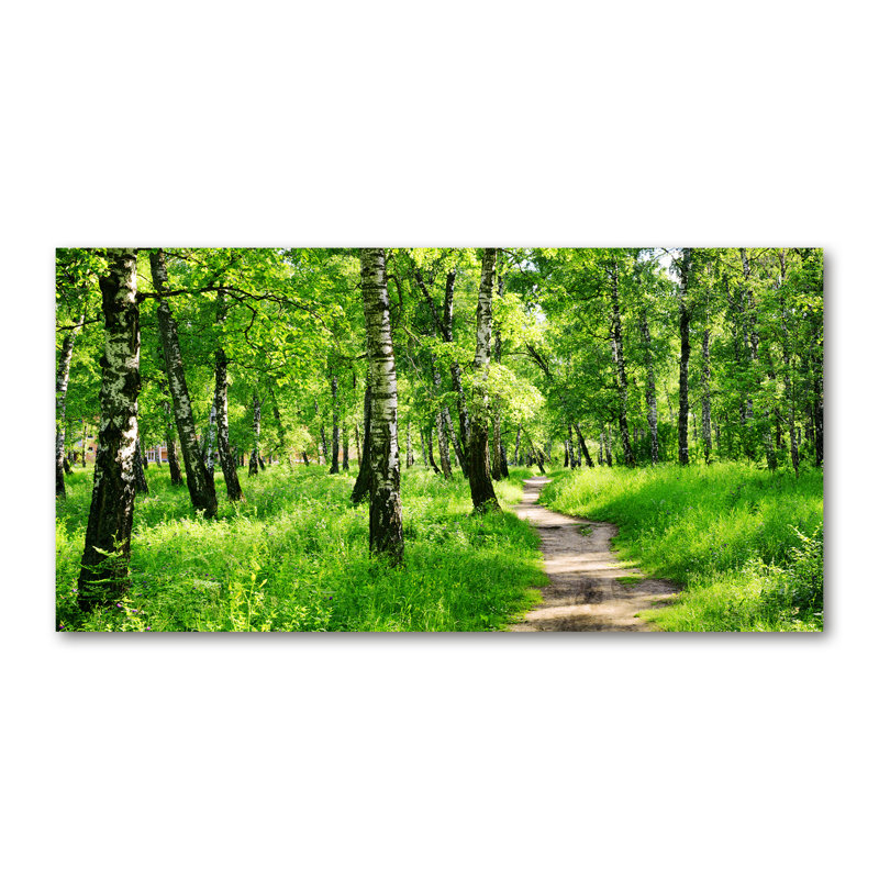 Birch Forest - Wrapped Canvas Print