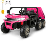 Delia Himimi 24 Volt 2 Seater All-Terrain Vehicles Battery Powered Ride On Toy with Remote Control