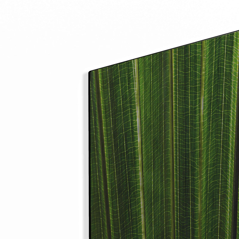 «The Great Green Wall» par Luxe Metal Portfolio, H 16 po x l 12 po