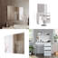 Neponset Glass Flat Wall Mirror