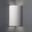 Rysing 1 - Light Flush Mounted Sconce-279483473-364996811-364996808