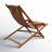 Kinsler Swing Lounger with Cushion