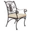 San Cristobal Outdoor Dining Armchair-657774474-657774466