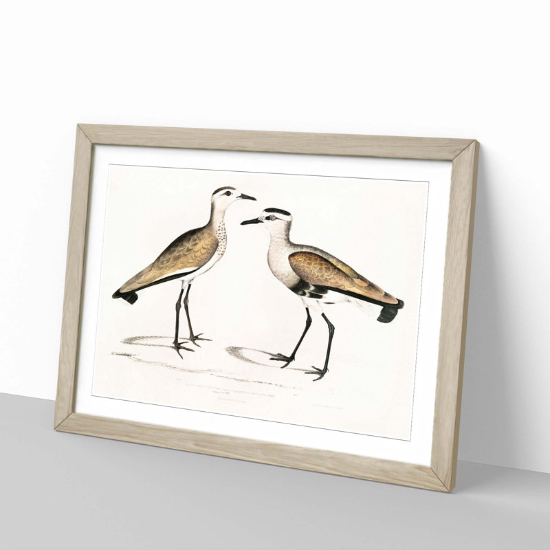 Two Sandpiper Birds by John Edward Gray - Picture Frame Painting Print, 36cm H x 48cm W x 2cm D, Oak Framed
