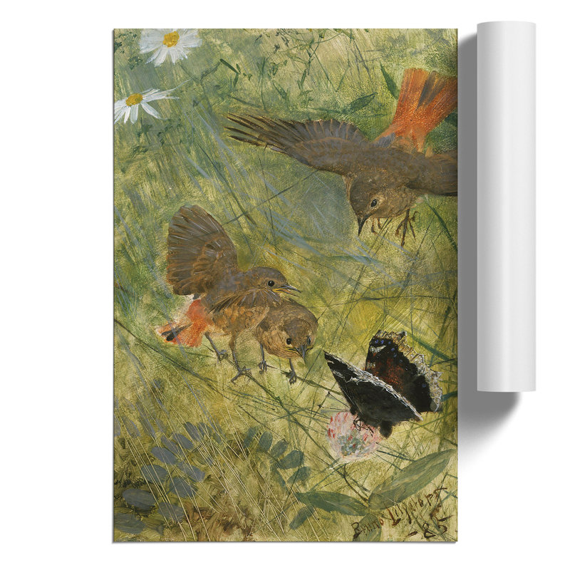Redstart Birds And Butterflies by Bruno Liljefors - No Frame Painting, 30cm H x 21cm W x 0.1cm D