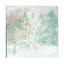 Winter Wonder I by Cynthia Coulter - Print on Canvas-1470155738-1347948913