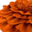 Housse de coussin décorative 3D faite à la main avec pivoine 3D-22037430