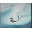 The Swimmer Print by Jeff Schaub