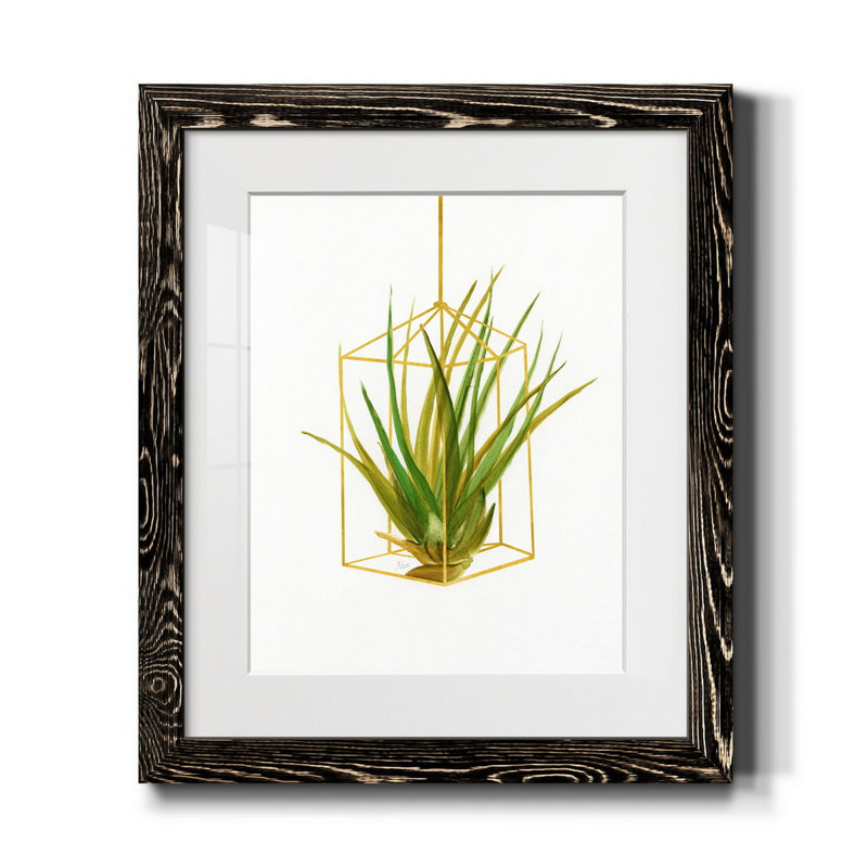 «Hanging Airplant II», reproduction d'art sur papier encadrée, Cadre noir, H 20 po x l 17 po x P 0,75 po
