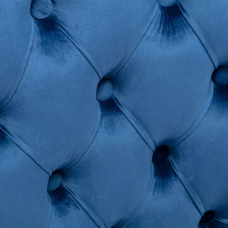 Chaises de salle à manger Jermell, 2, Velours bleu, Noir