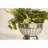 All-Clad Kitchen Accessories 3 Qt. Colander