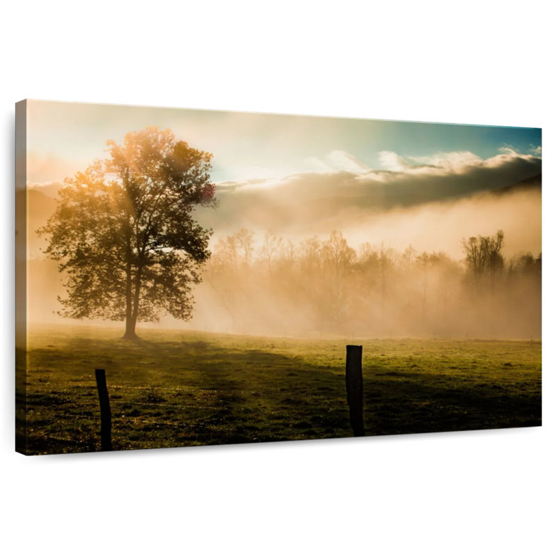 Alvord Mist In Cades Cove, H 24 po x l 36 po