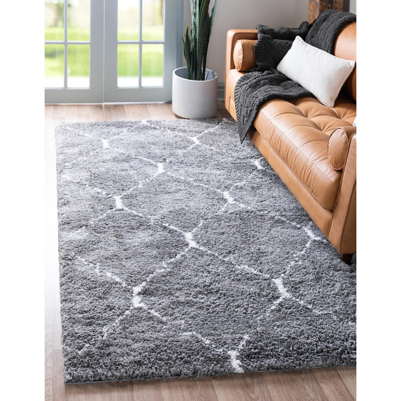 Burkart Trellis Shag Area Rug, Rectangle 122 x 183cm