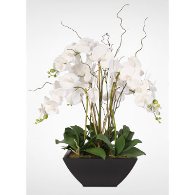 Orchidées blanches Phalaenopsis à toucher véritable dans un pot en zinc noir métallique
