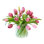 Tulipes en vase