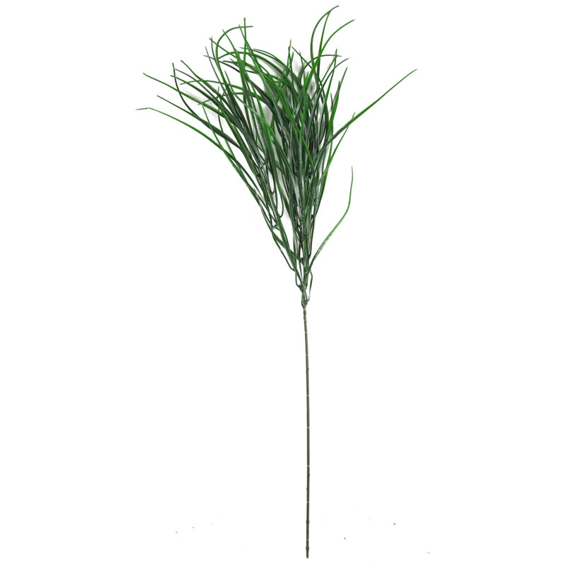 Andarius Arrangement