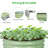 Neriya 30 inch x 9 inch Metal Raised Garden Bed-312218239