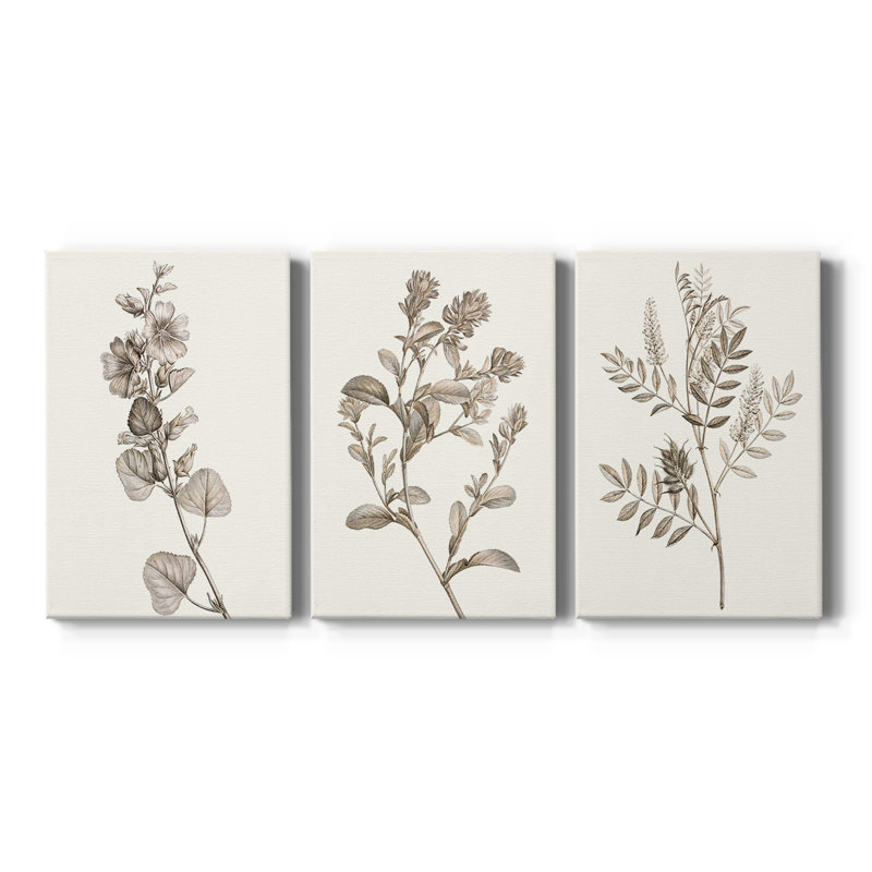 Neutral Botanical Study I - Toile tendue sur mesure avec châssis - 3 pièces, H 27 po x l 54 po, Impression sans cadre