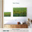 Opulent Field II-1835328325