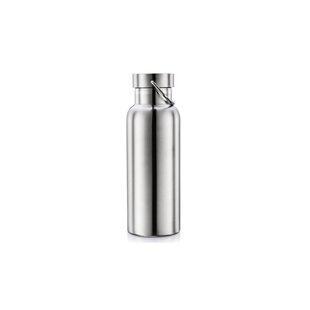 https://assets.wfcdn.com/im/64061958/resize-h310-w310%5Ecompr-r85/1083/108398736/stainless-steel-water-bottle.jpg