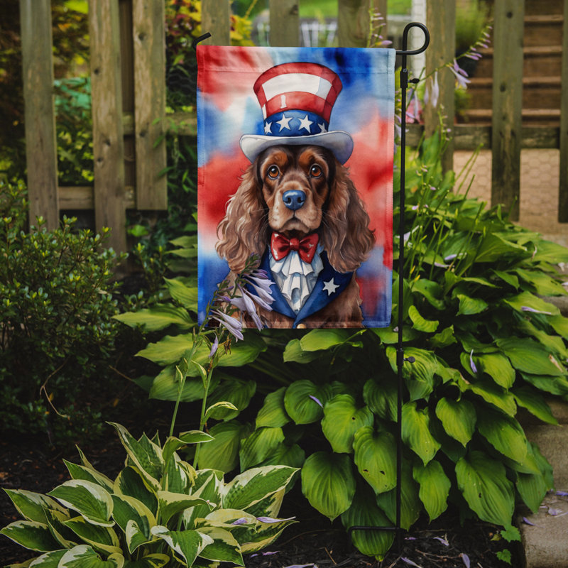 Drapeau patriotique du jardin américain, Épagneul cocker chocolat