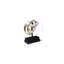 Tooth Tiger Skull-42650009