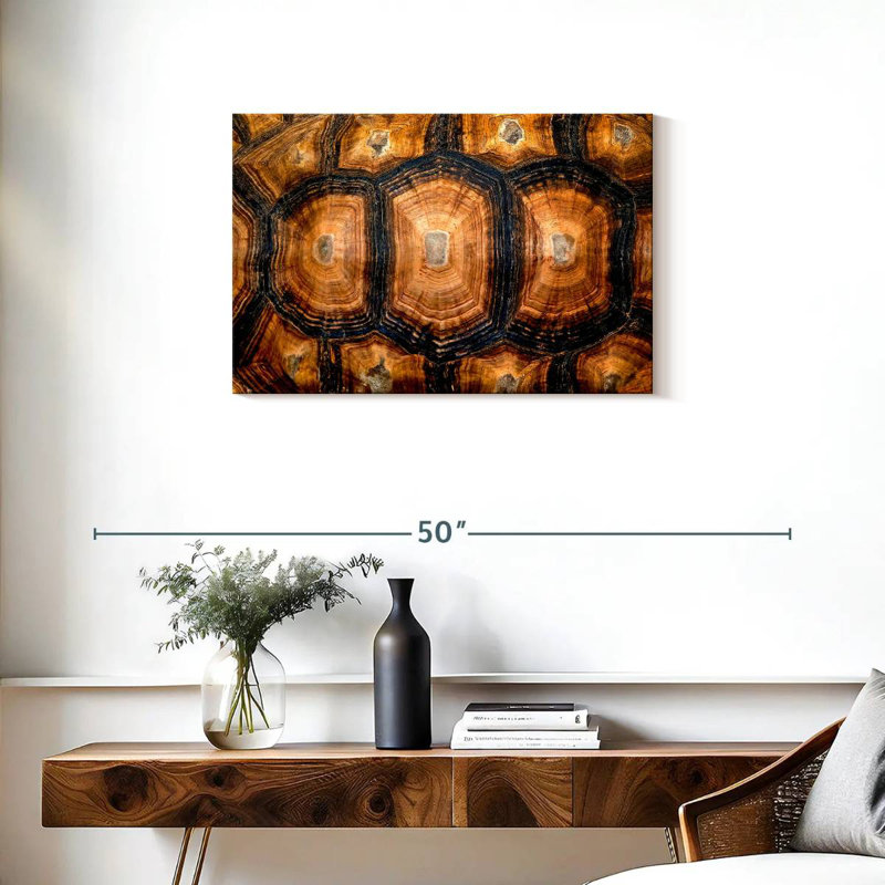 Brampt Turtle Carapace Texture, 20" H x 30" W